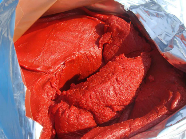 The Declining Trend of Chinese Tomato Paste Exports to Western European Countries